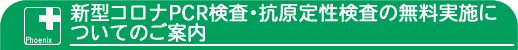 V^RiECX PCR̂m点